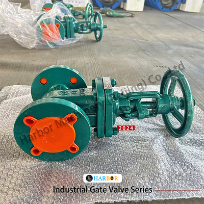 Valve de porte à douille en acier coulé PTFE pour traitement de l'eau