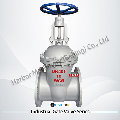 Valve de porte en acier coulé à connexion manuelle à bride Z45H-10/16C résistante à la corrosion