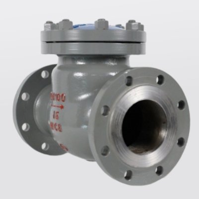Valve de vérification à clapet en caoutchouc de couleur personnalisée avec soupape anti-retour H44H-16/25C