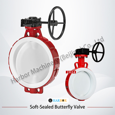Ventilateur papillon à plaquette de turbine revêtu de PTFE D371F46-16C résistant aux acides et aux alcalis