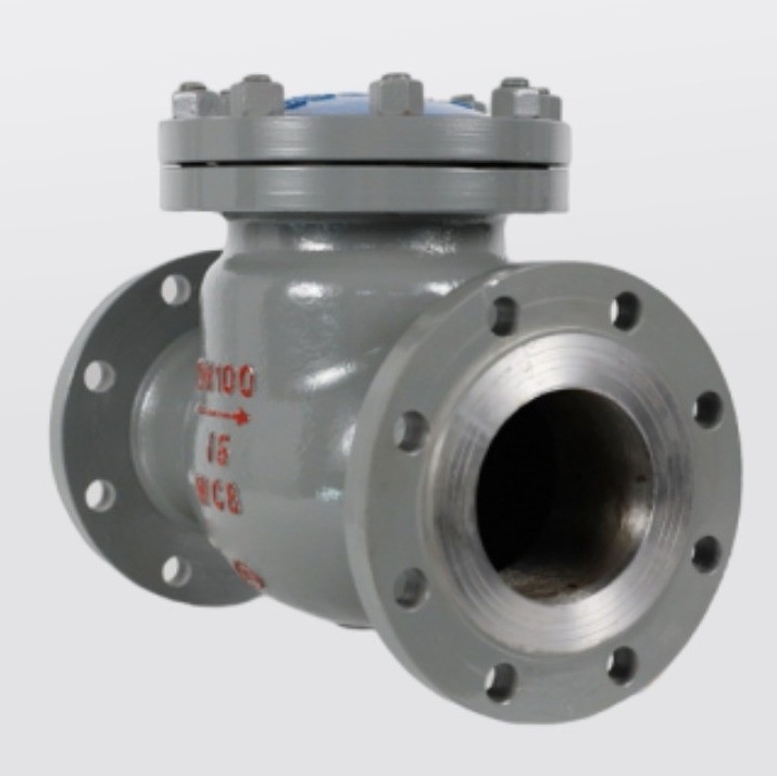 Valve de vérification à clapet en caoutchouc de couleur personnalisée avec soupape anti-retour H44H-16/25C